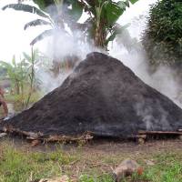 Making charcoal for sale in the Amazon.